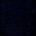 Aqua Turf Marine/Automotive Carpet 72" - Indigo Aqua Turf Marine/Automotive Carpet 72" - Indigo