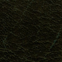 Carrara Allante™ Collection 54" - Dark Green Carrara Allante™ Collection 54" - Dark Green