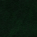 Denali 54" Vinyl Dk. Green Denali 54" Vinyl Dk. Green