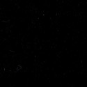 EZ Flex Carpet 80" Black EZ Flex Carpet 80" Black