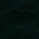 Seascape Marine Grade Welt Cord Green Seascape Marine Grade Welt Cord Green