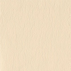 Ultraleather 54" Faux Leather Champagne Ultraleather 54" Faux Leather Champagne